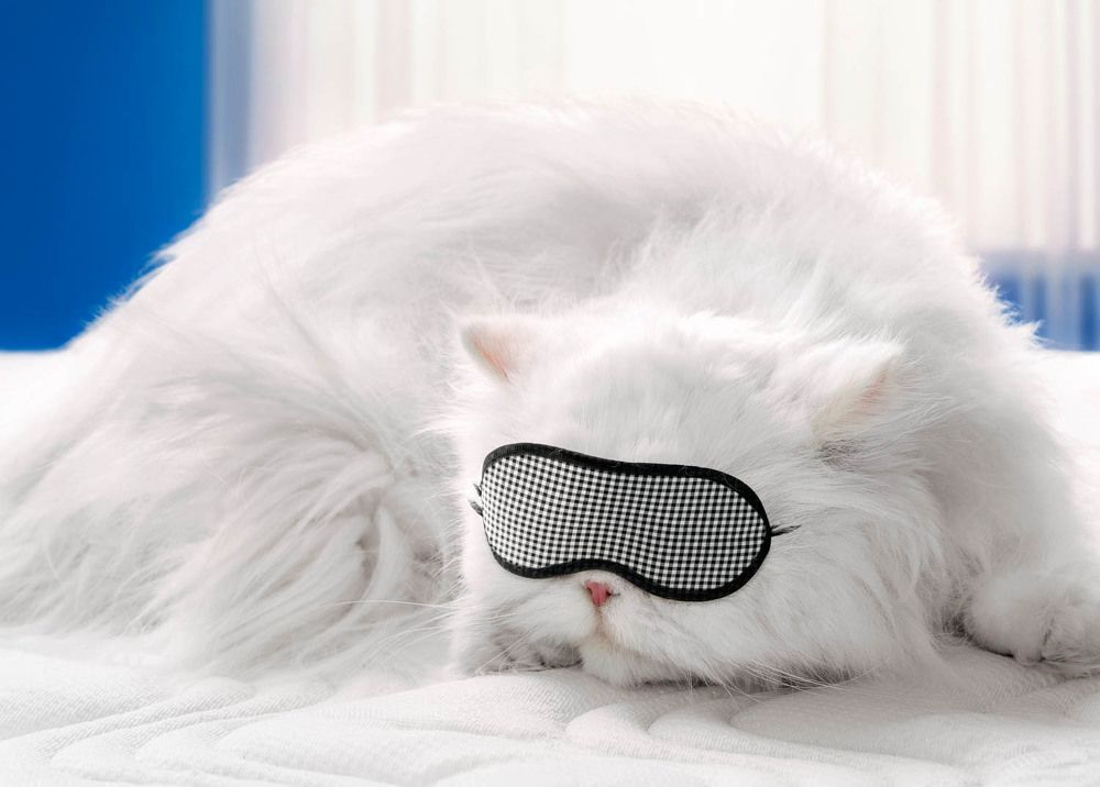 Photograph by Beheshti Seyed Ahmad