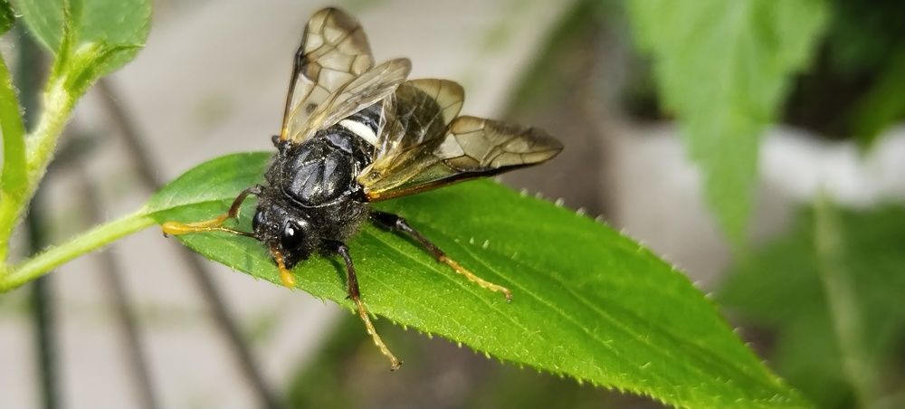 Photograph by Дмитрий Билько