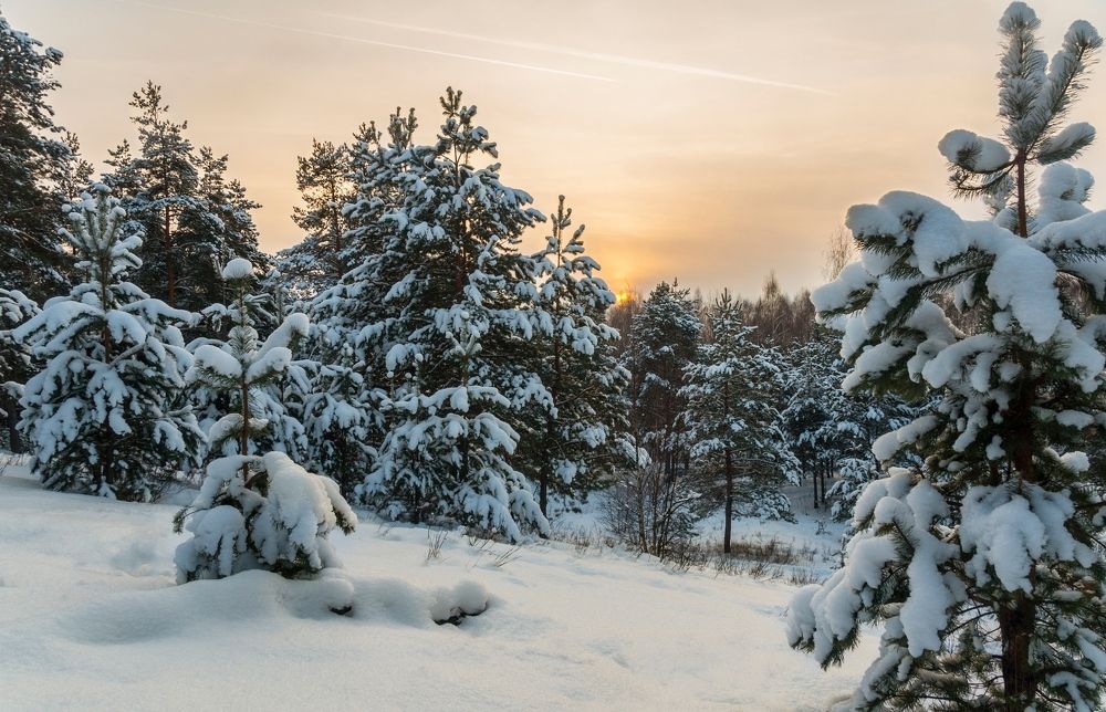 Photograph by Андрей Папанов