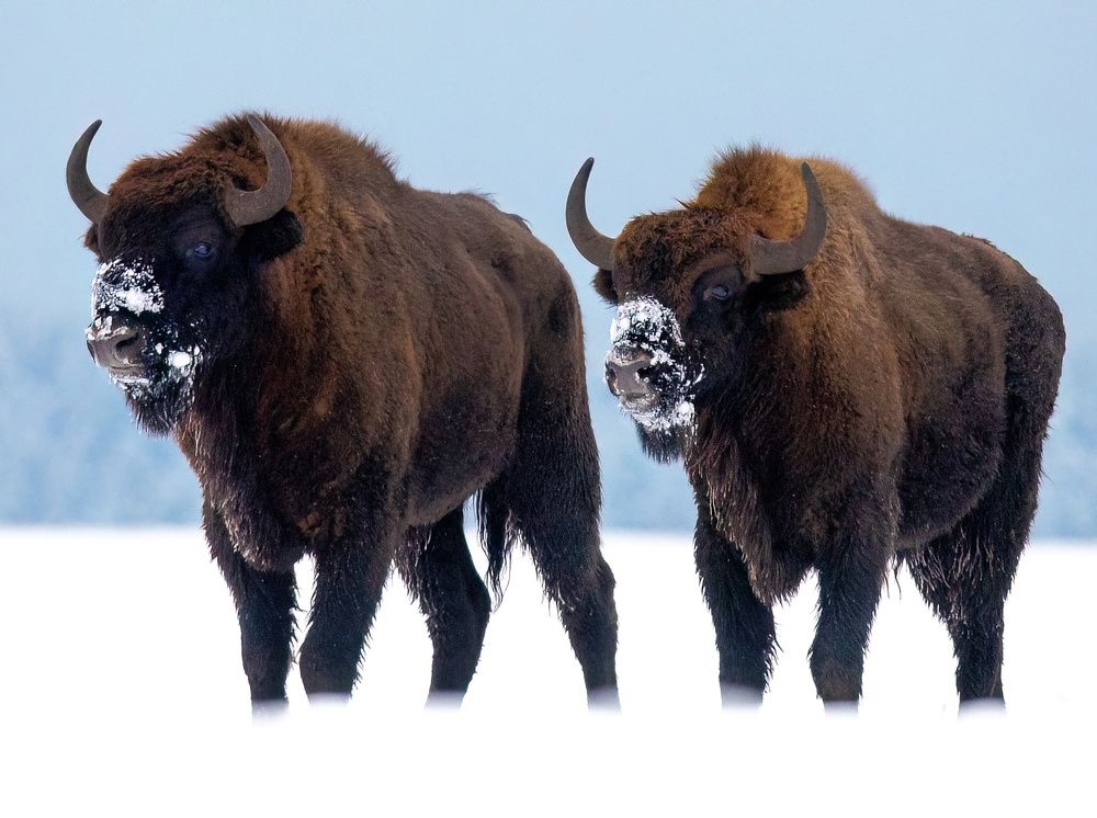 Photograph by Михаил Тиханович