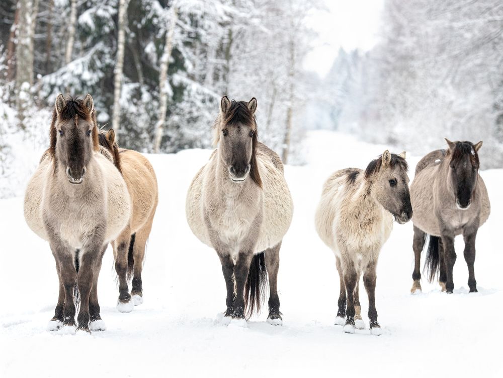 Photograph by Михаил Тиханович