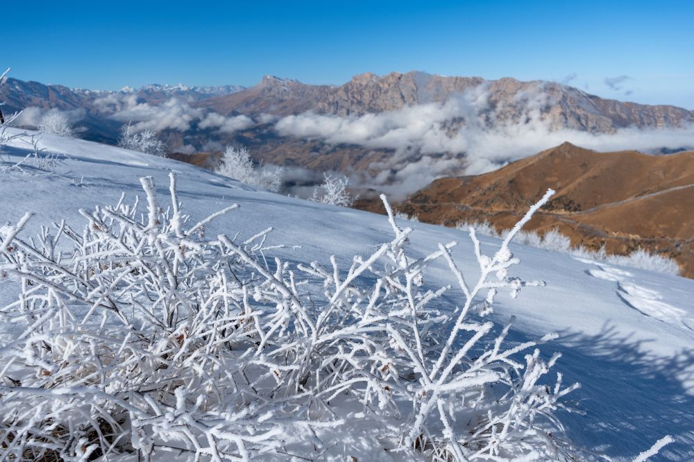 Фотография автора Олег Кожухов