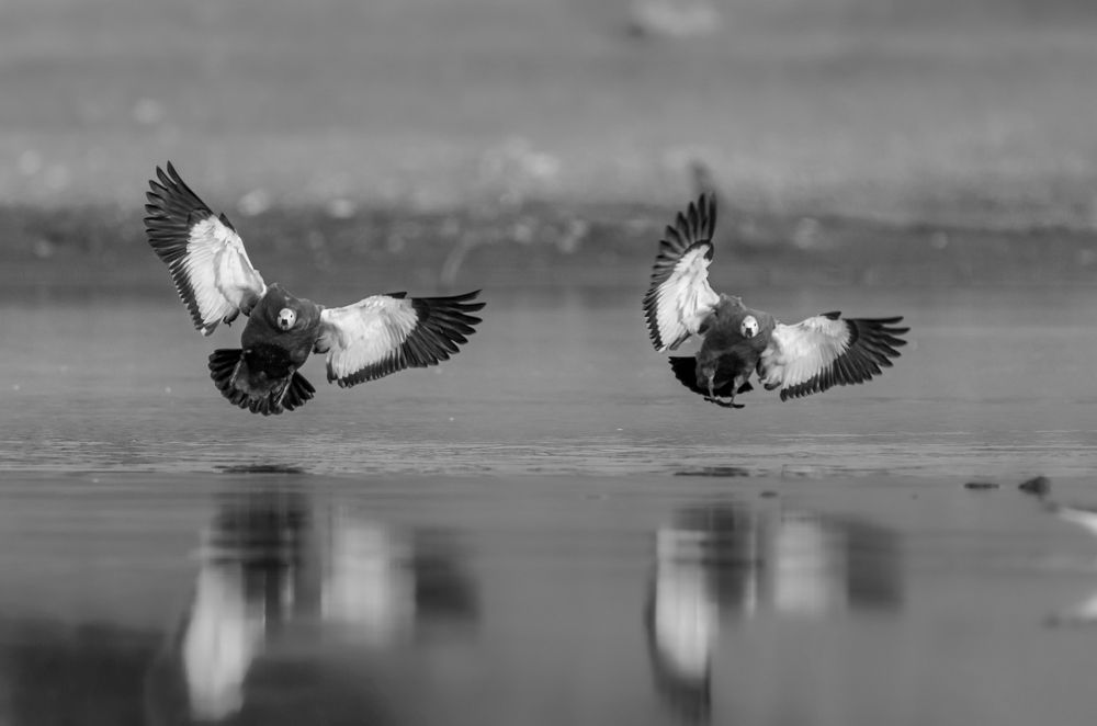 Photograph by Kshitij Patle