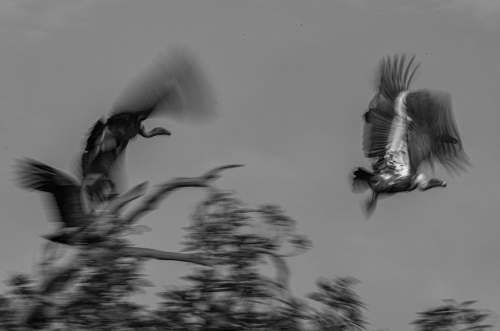 Photograph by Kshitij Patle