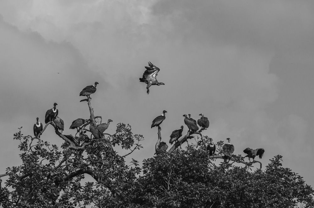 Photograph by Kshitij Patle