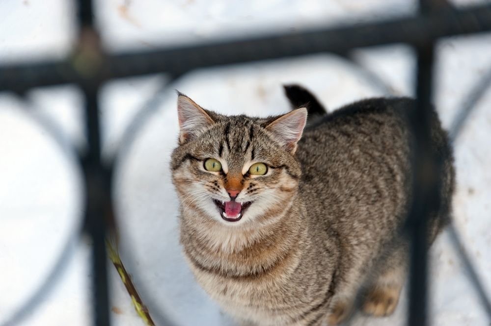 Photograph by Valery Kleymenov