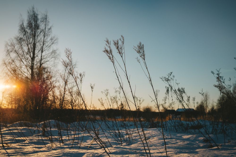 Photograph by Людмила Пахомова