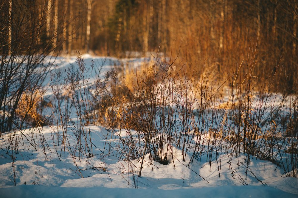 Photograph by Людмила Пахомова