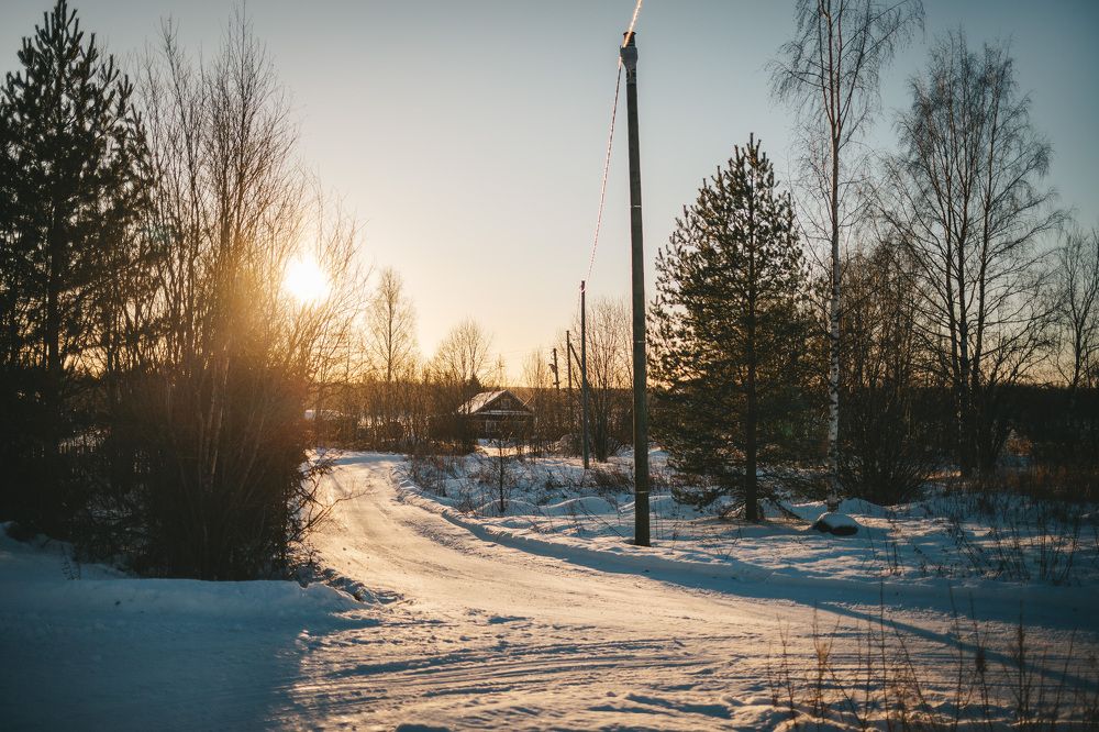 Photograph by Людмила Пахомова