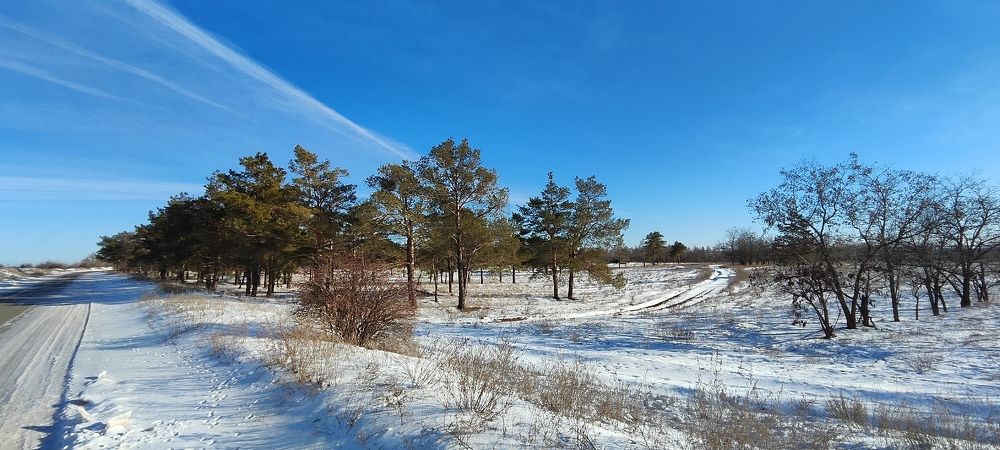 Photograph by Ирина Шибитова