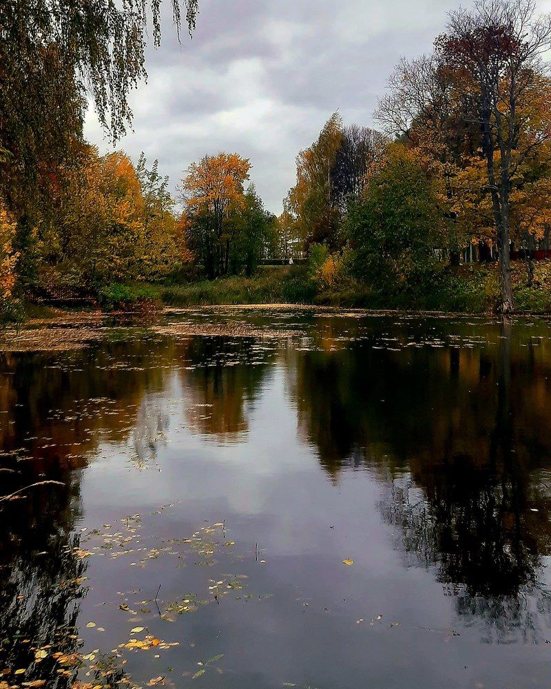 Photograph by Виктория Жаворонкова