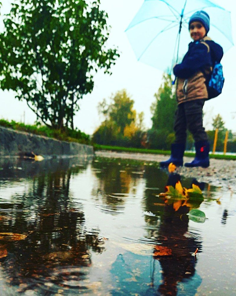 Прогулка после дождя