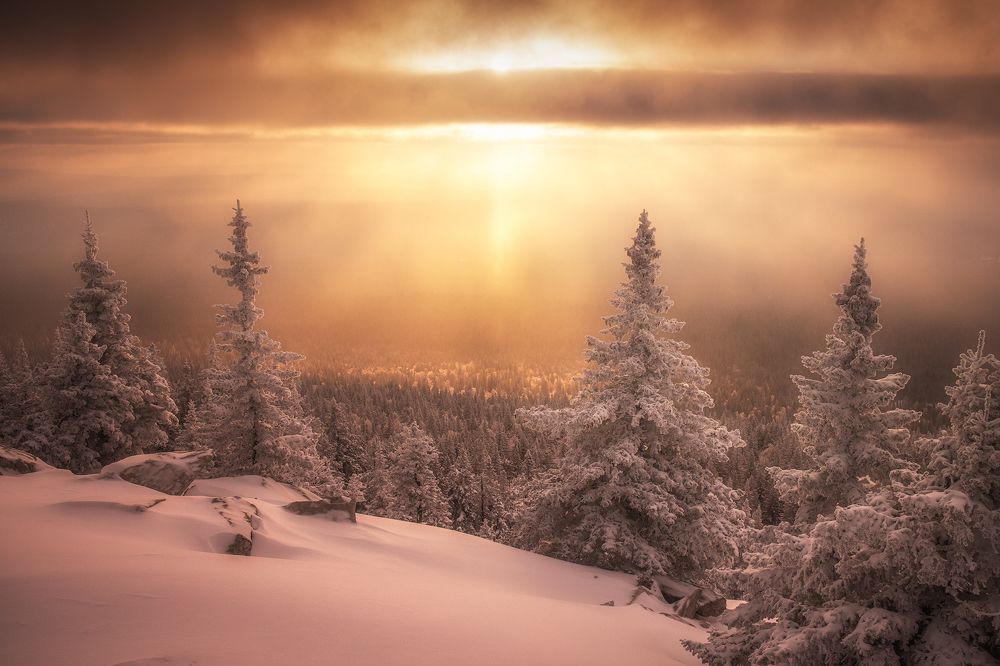 Photograph by Татьяна Бирюкова