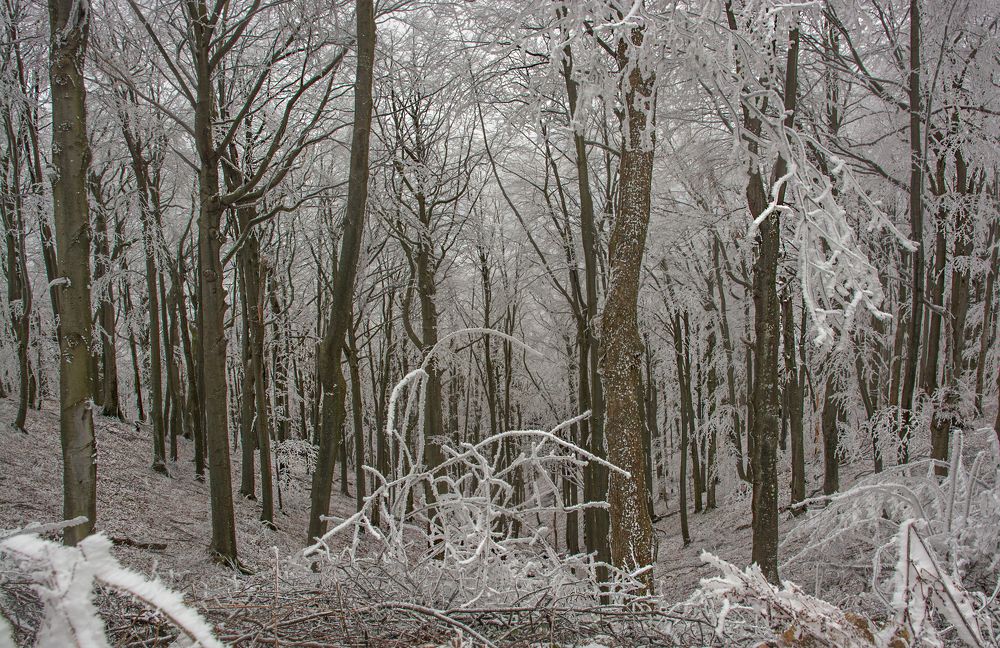 Фотография автора Mihail Manolov