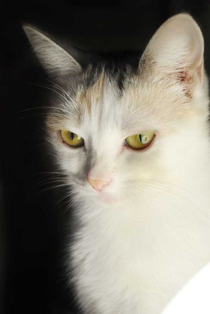 Photograph by Мария