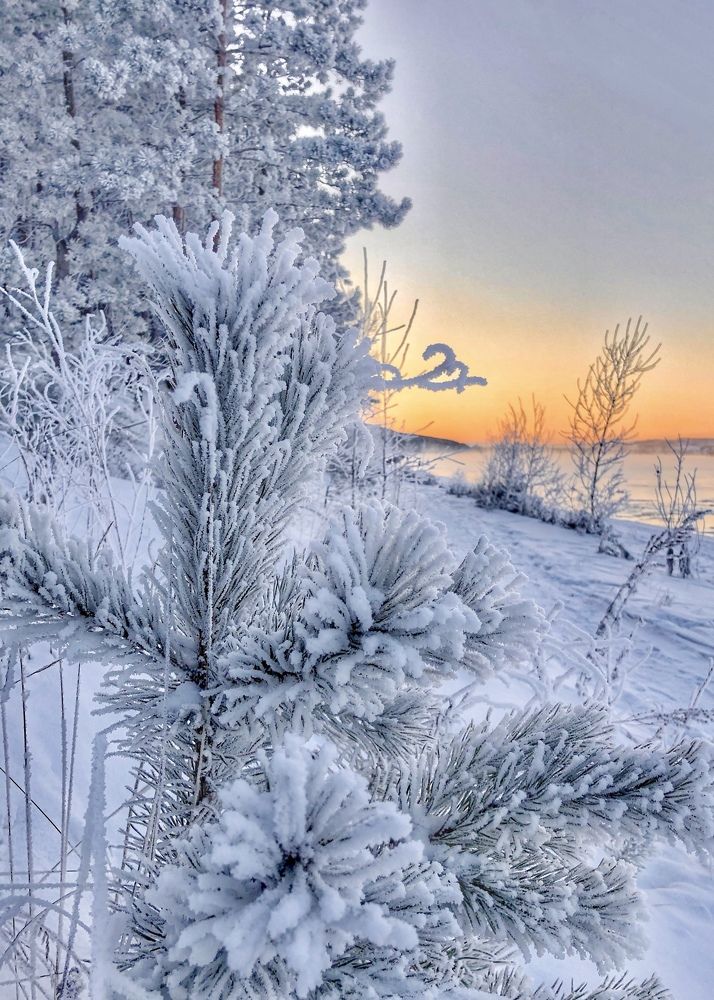 Photograph by Светлана Дмитриева