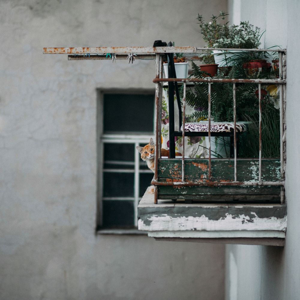 Photograph by Александр Кузовков