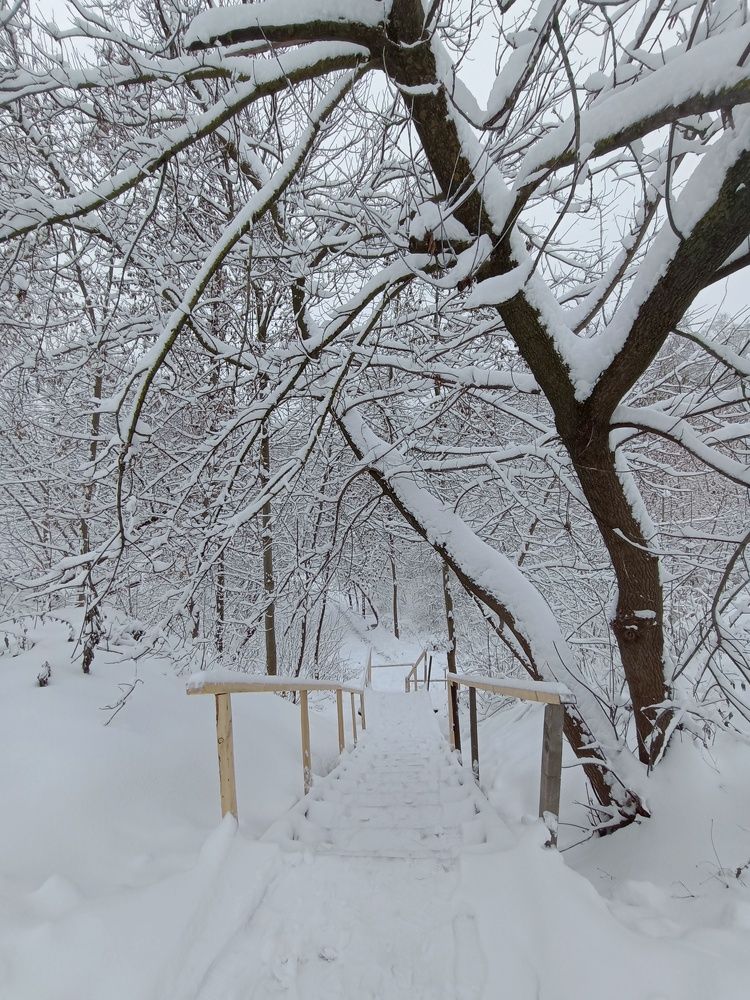 Snow covered stairs