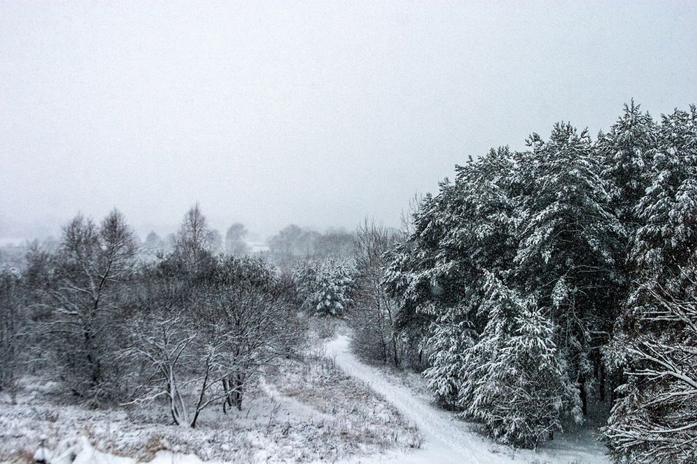 Фотография автора Екатерина Молодкина