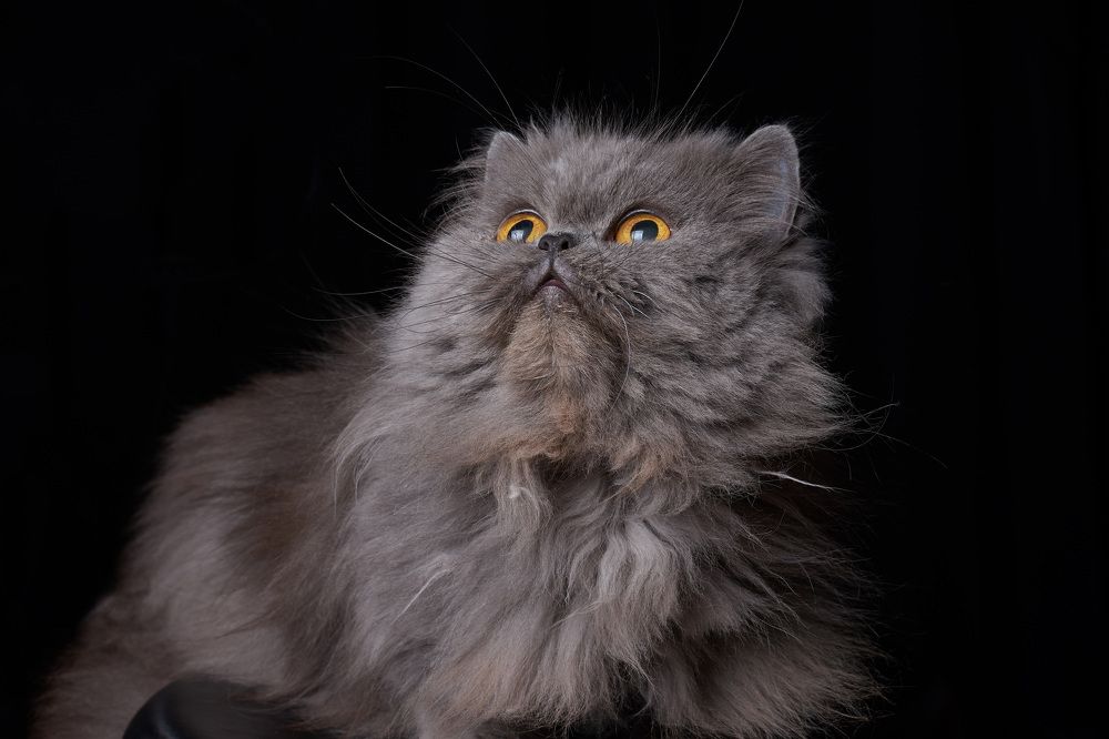 Photograph by Алексей Деменюк