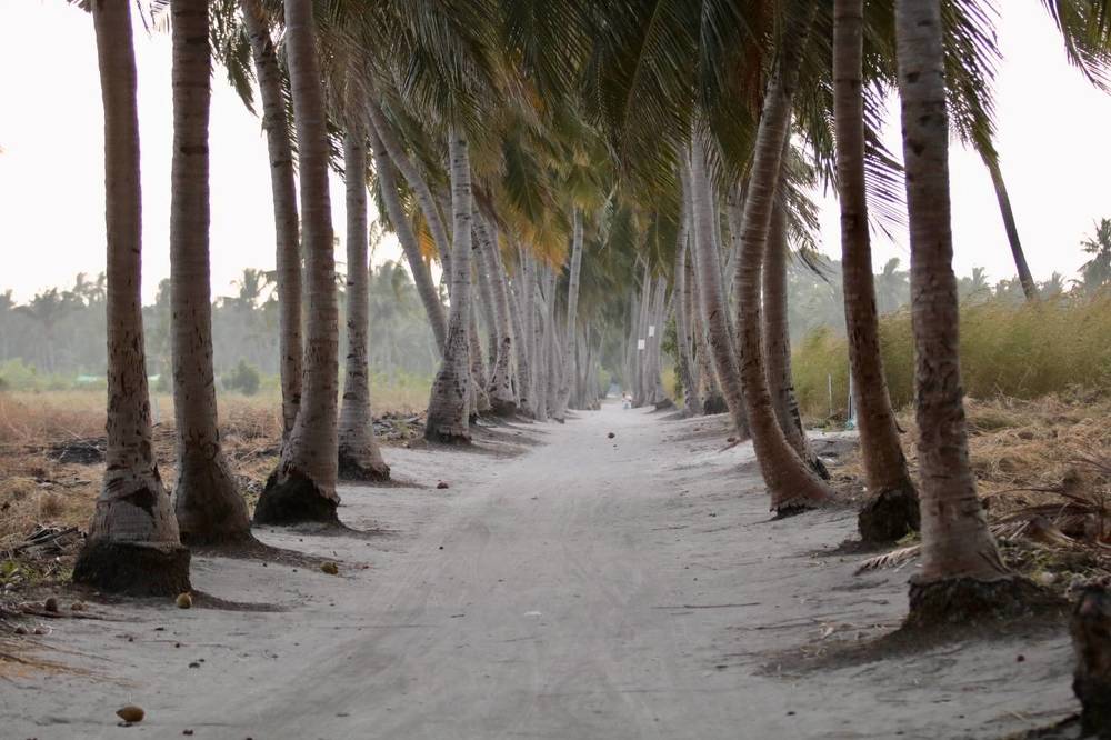 Photograph by Елена Ковалева