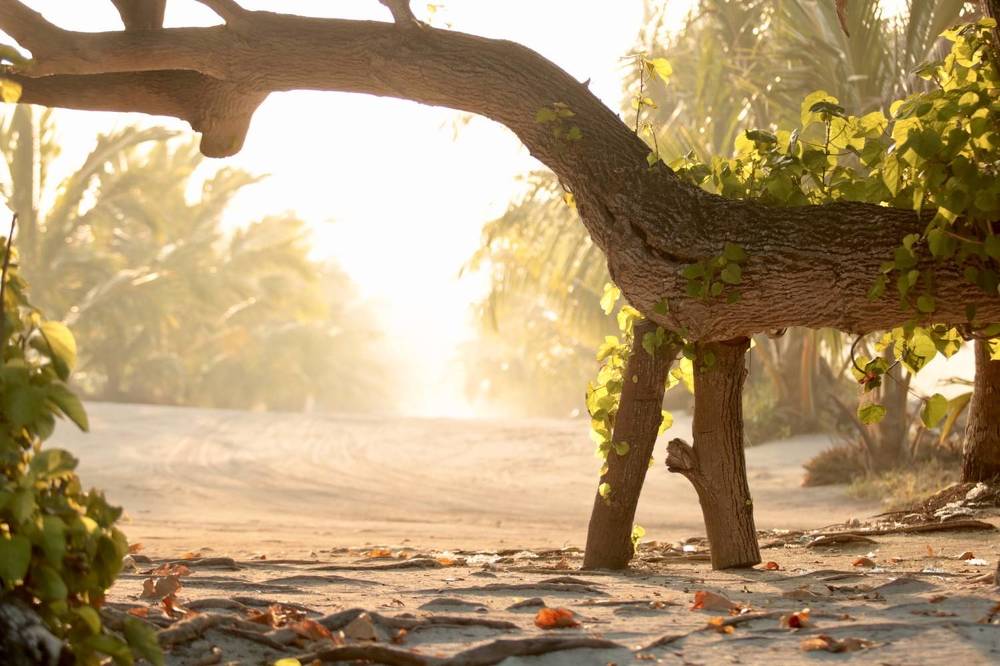 Photograph by Елена Ковалева