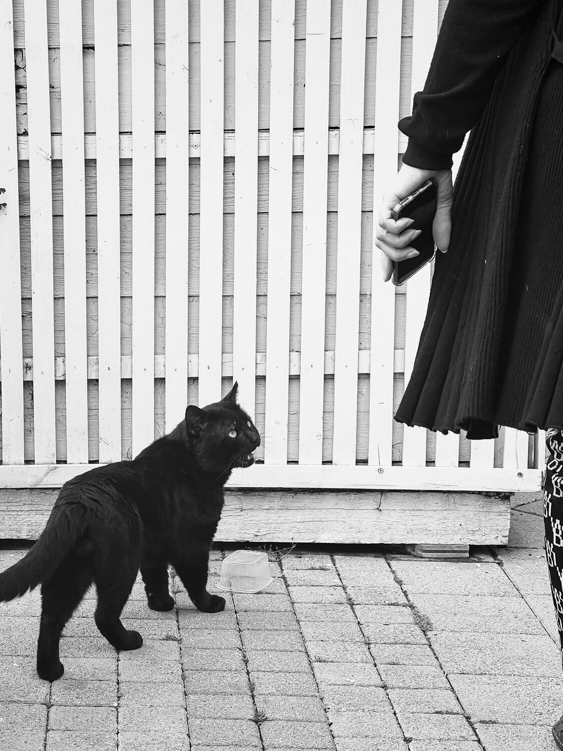 Photo #8741031
