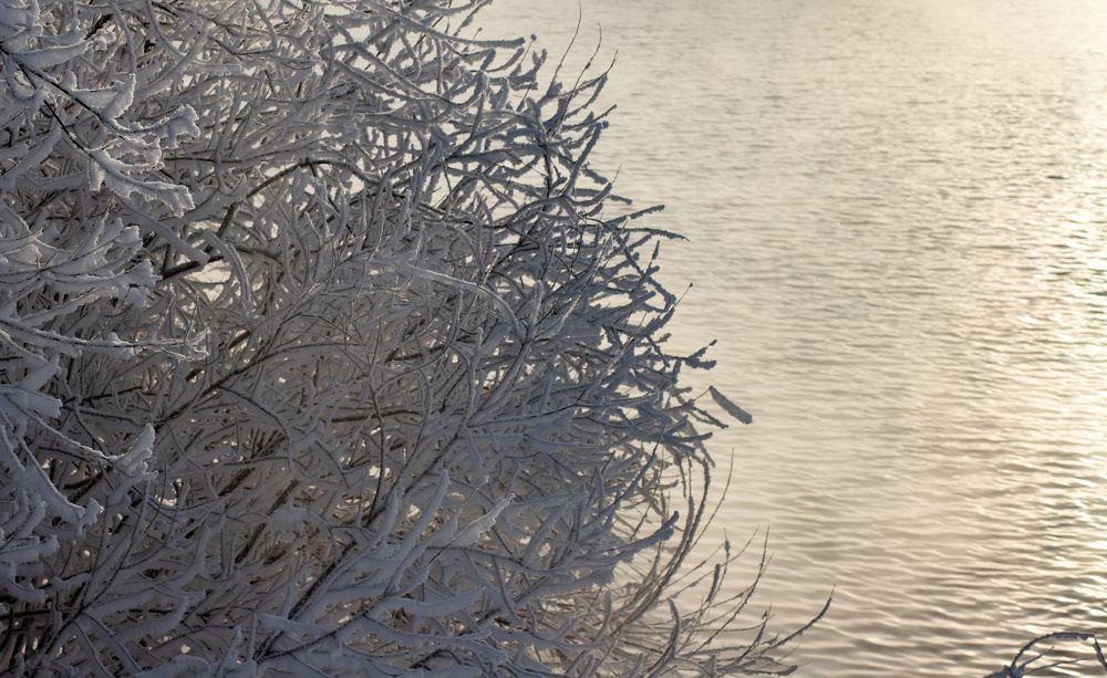 Photograph by Дмитрий Соколов