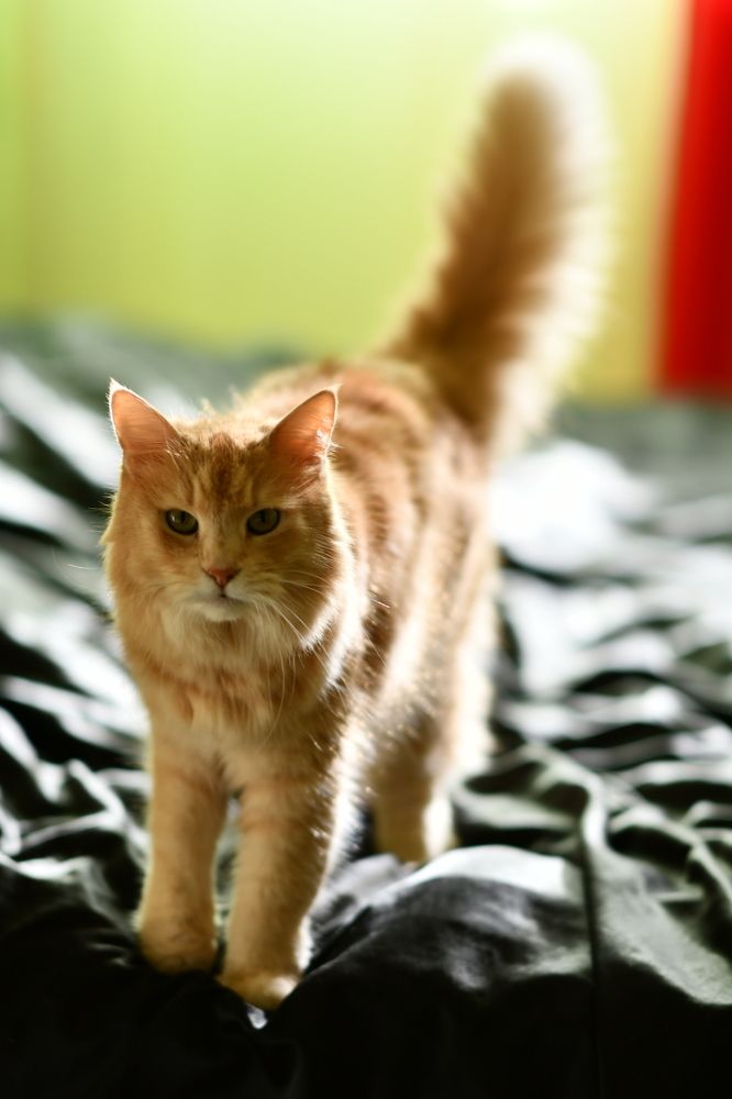 Photograph by Юлия Немченко