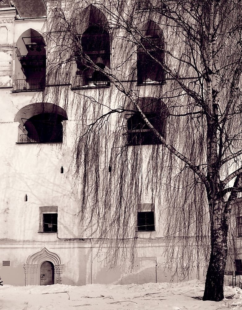 Photograph by Анна Виноградова