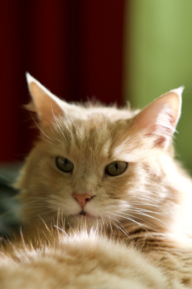 Photograph by Юлия Немченко