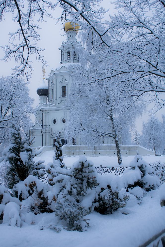 Фотография автора Татьяна Хуссейн