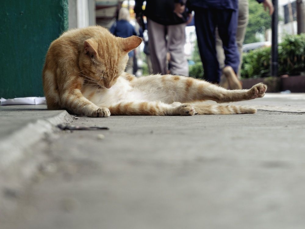 Photograph by dito adithia