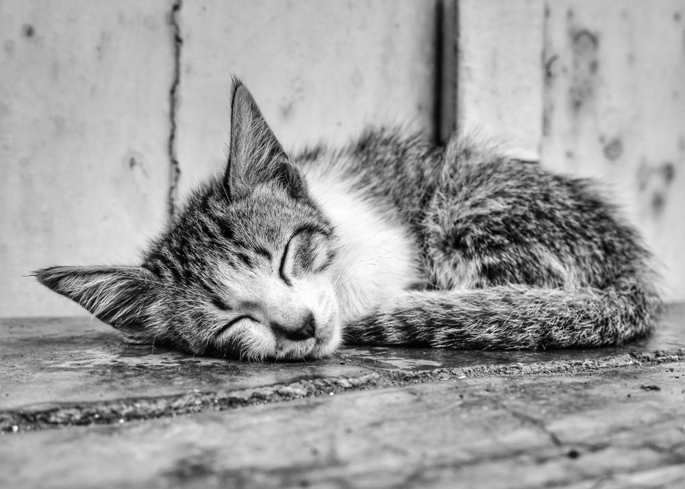 Photograph by dito adithia