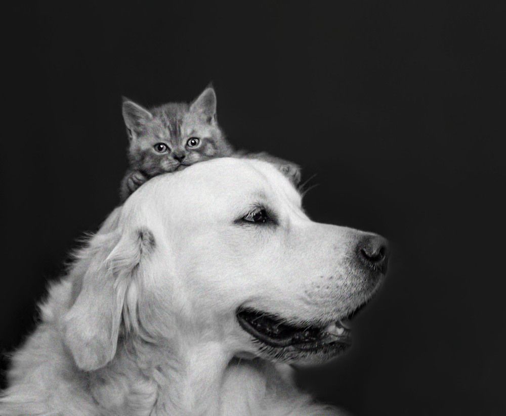 Photograph by Анастасия Мельник