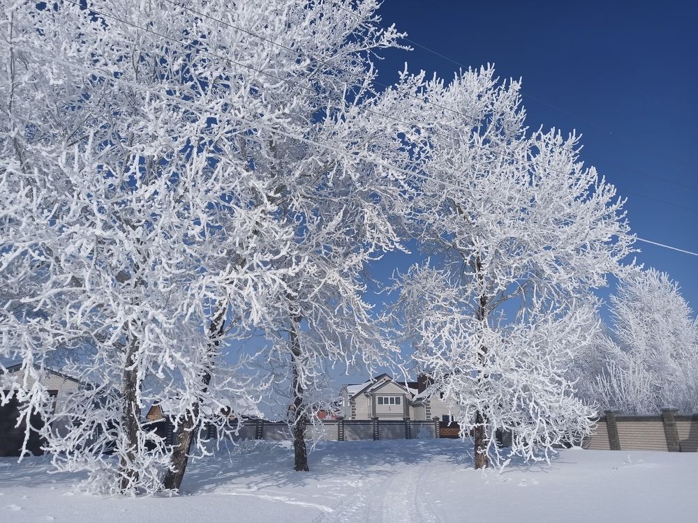 Photograph by Людмила Фурсова