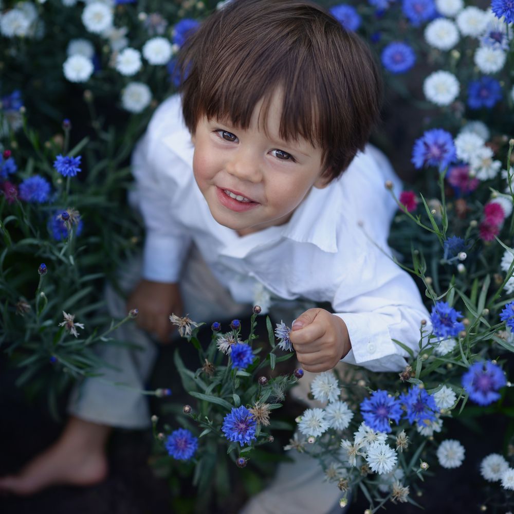 Лёня и васильки