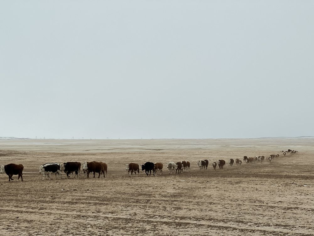 Photograph by Кристина Гудименко
