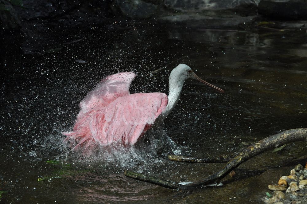 Photograph by Ошеров Григорий Семенович