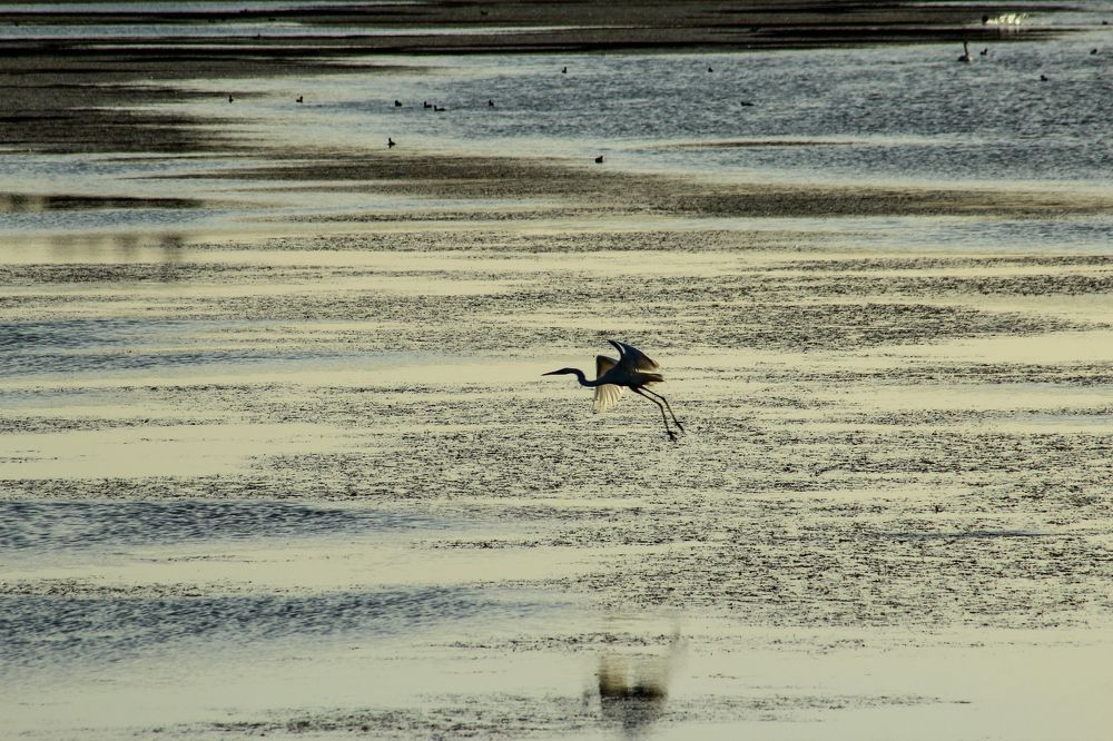 Photograph by Ирина Шибитова