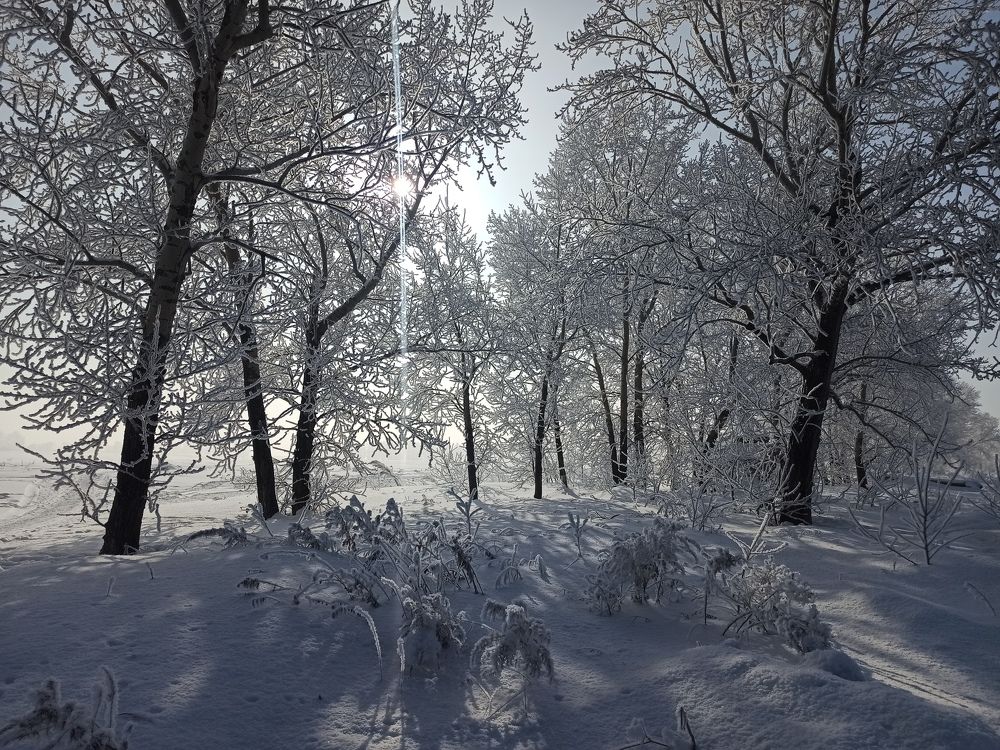 Photograph by Людмила Фурсова