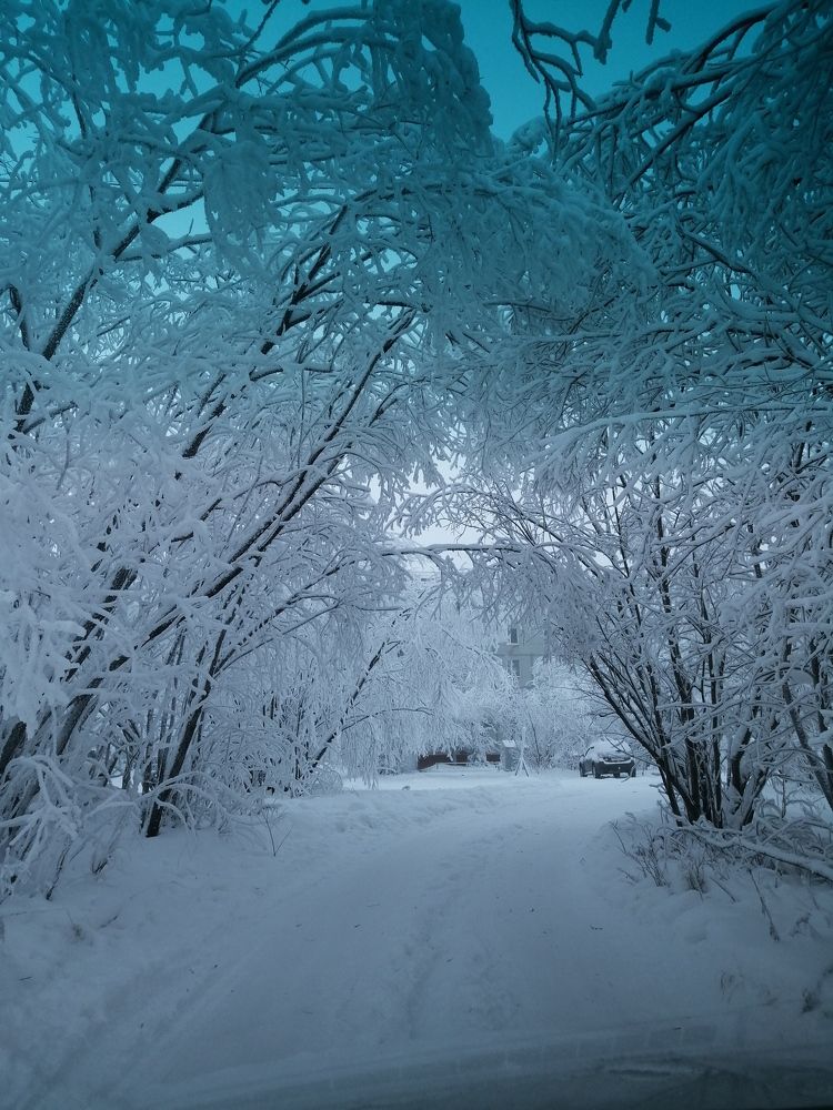 Photograph by Татьяна Клименко