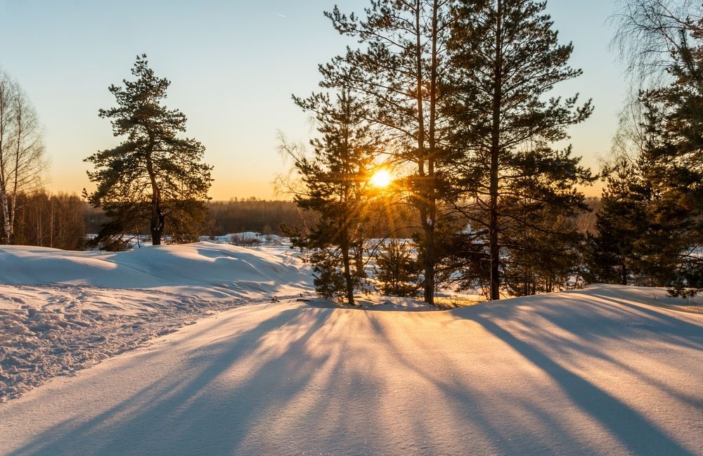 Photograph by Андрей Папанов