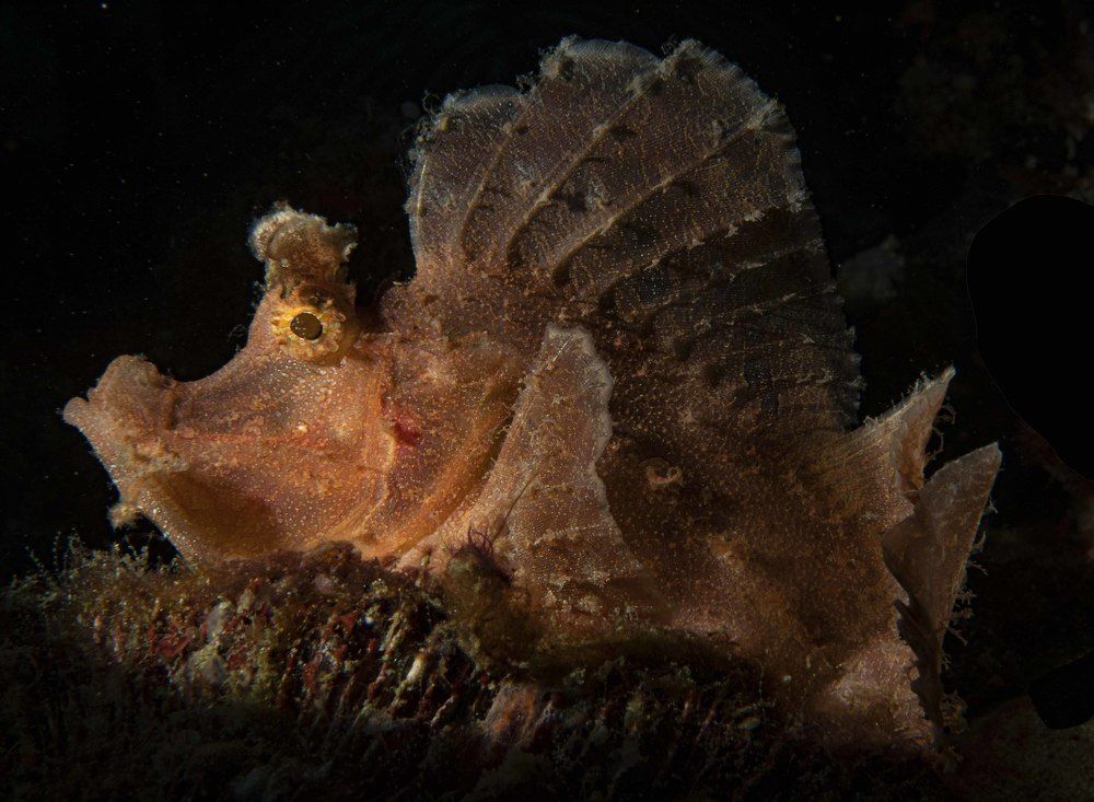 Photograph by Deniz muzaffer Gokmen