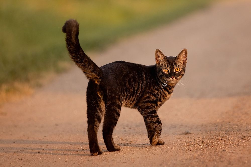 Photograph by Елена Басова