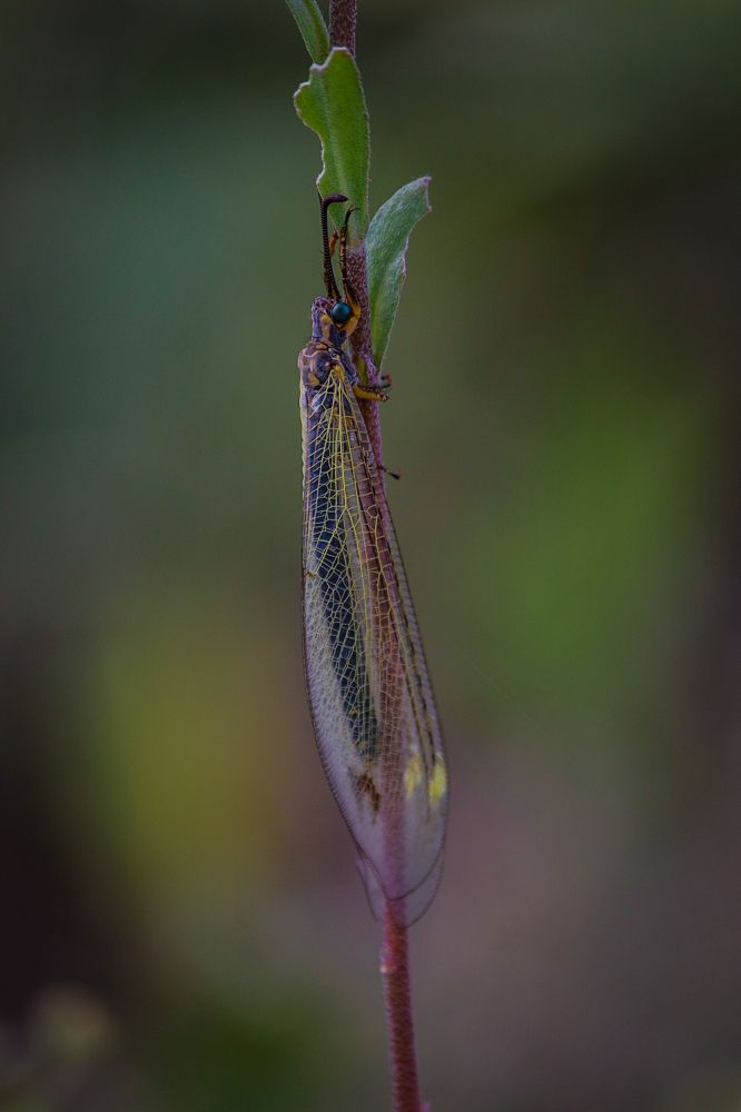Photograph by Софья Гелевера