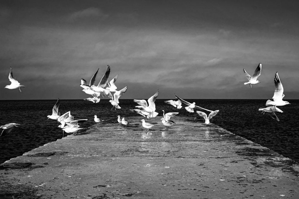 Фотография автора Татьяна Тур