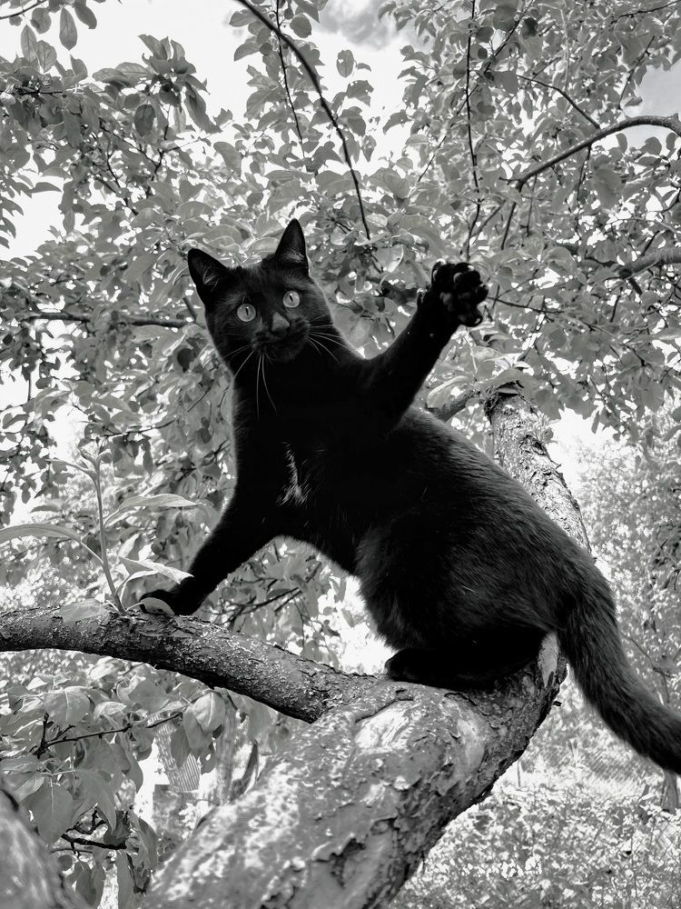 Photograph by Kholina Maria