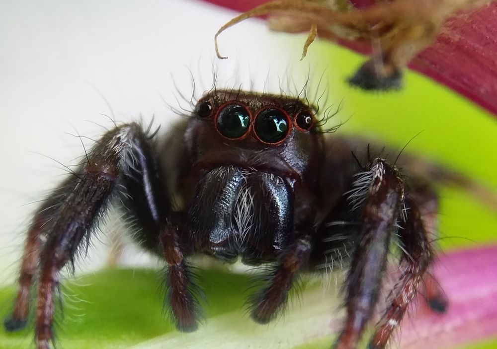 Photograph by NIRMALLYA GHOSH