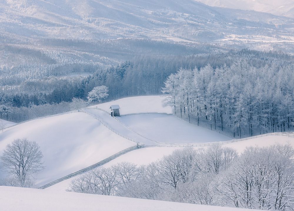 Фотография автора NGUYEN NGOC SON